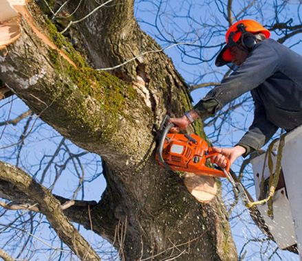 empresadepodaenaltura profesionalenLleida 1920w 1