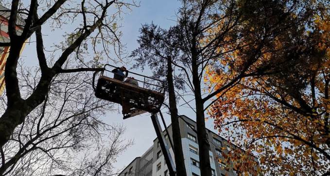 podadearbolesenciudadyvaspublicasdelleida 720w