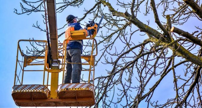 retiradadearbolesdeemergenciaenlleida24 7 720w 1