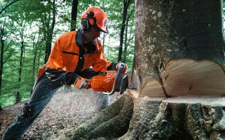 taladearbolesenalturacontroladaenlerida 455w